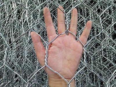 leyu乐鱼登陆:山东黄河生态修复工程中标公告：新篇章开启助力绿色未来