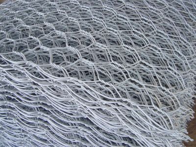 leyu乐鱼登陆：山东黄河生态修复工程中标公告：新篇章开启助力绿色未来